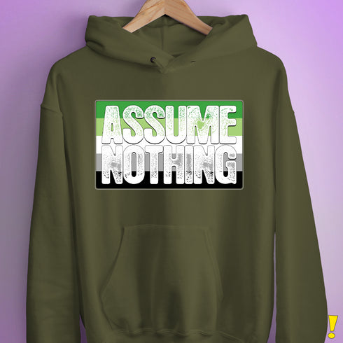 Assume Nothing Aromantic Pride Flag Hoodie - Army